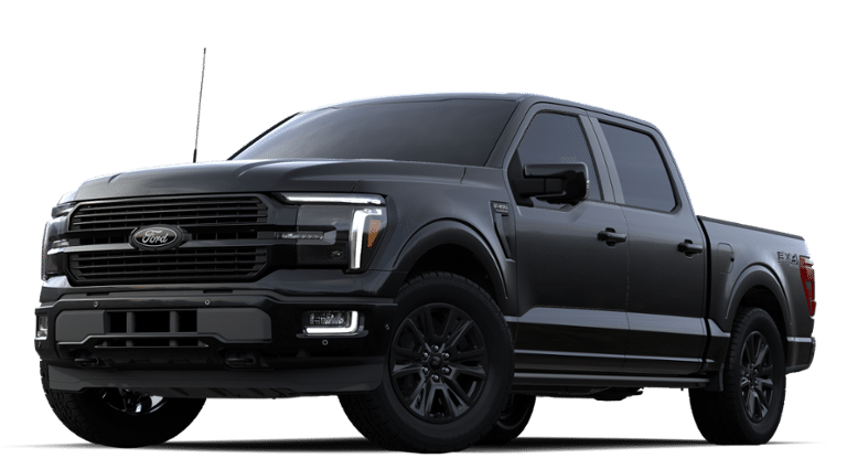 2024 Ford F-150 Vehicle Photo in Weatherford, TX 76087-8771